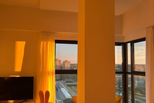House sit in Haarlem, Netherlands