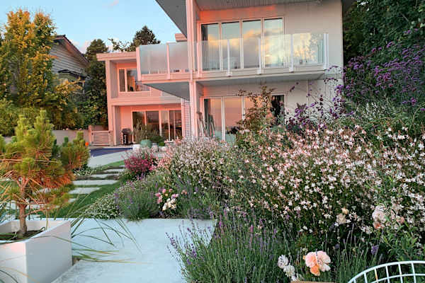 House sit in Victoria, BC, Canada