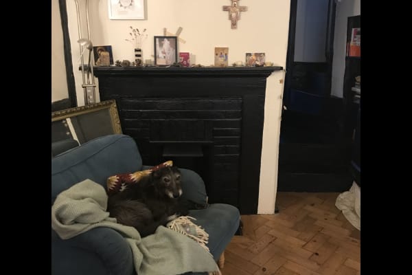 House sit in Oxford, United Kingdom
