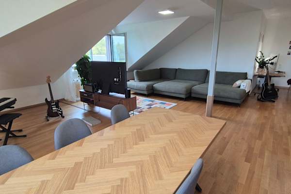 House sit in Zug, Switzerland
