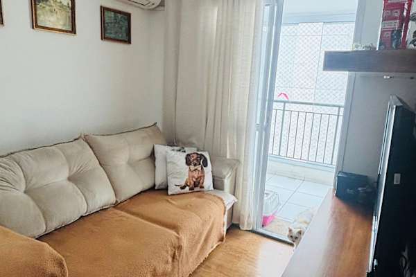 House sit in São Paulo, Brazil
