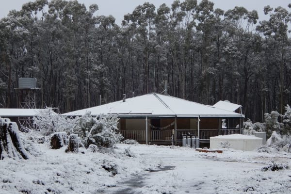 House sit in Daylesford, VIC, Australia