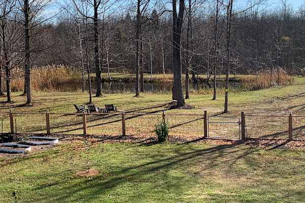 House sit in Kemptville, ON, Canada