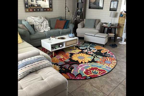 House sit in St. Petersburg, FL, US