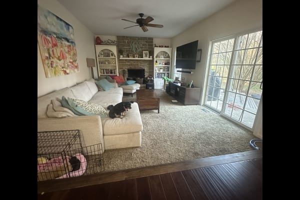 House sit in Annapolis, MD, US