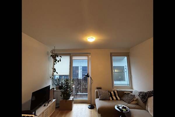 House sit in Berlin, Germany
