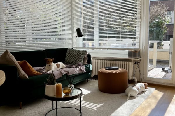 House sit in Zürich, Switzerland