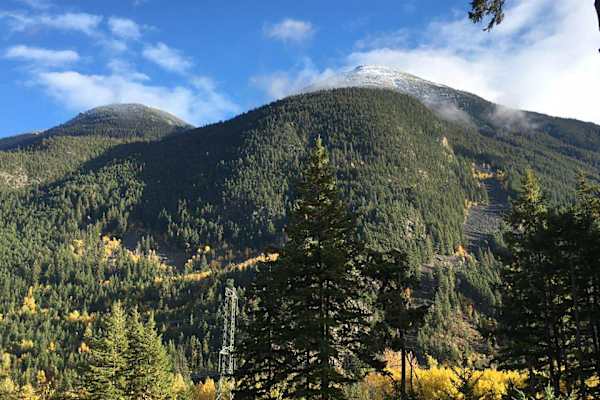 House sit in Pemberton, BC, Canada