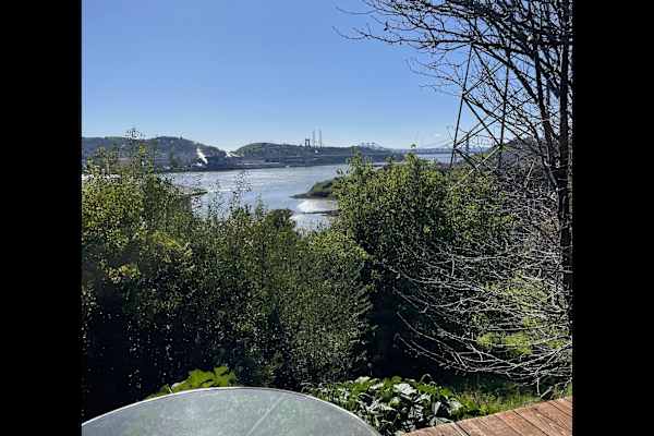 House sit in Vallejo, CA, US