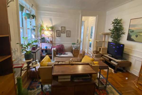 House sit in Brooklyn, NY, US