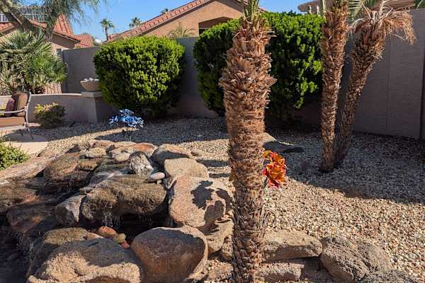 House sit in Goodyear, AZ, US