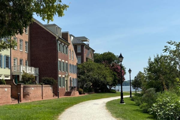 House sit in Alexandria, VA, US