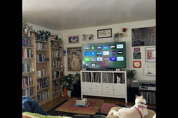 House sit in North Hollywood, CA, US