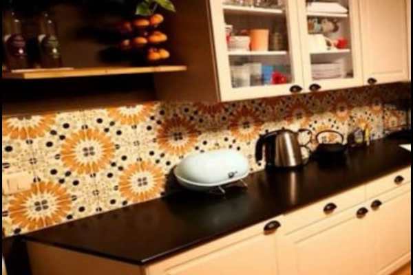 House sit in Ferney-Voltaire, France