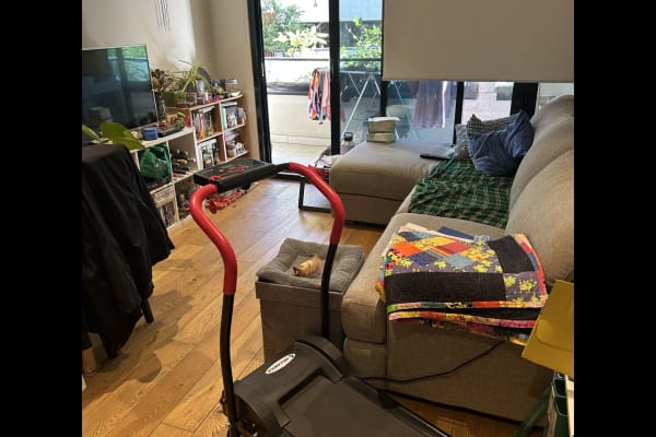 House sit in Melbourne, VIC, Australia