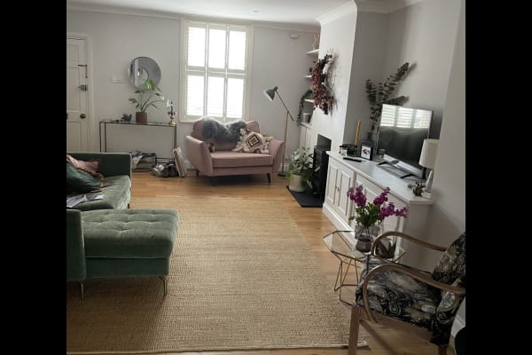 House sit in Chichester, United Kingdom