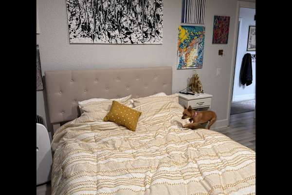 House sit in San Diego, CA, US