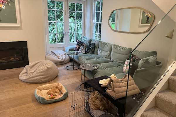 House sit in Dublin, Ireland