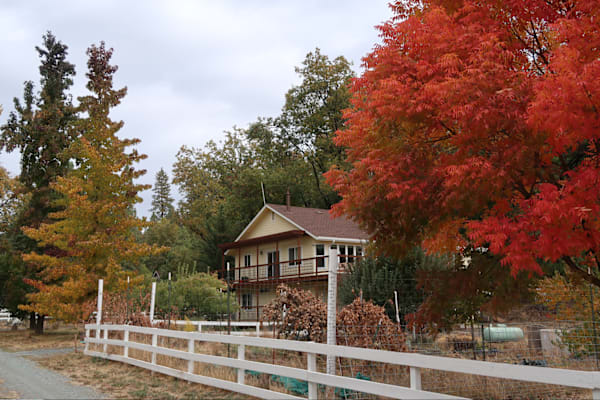 House sit in Twain Harte, CA, US