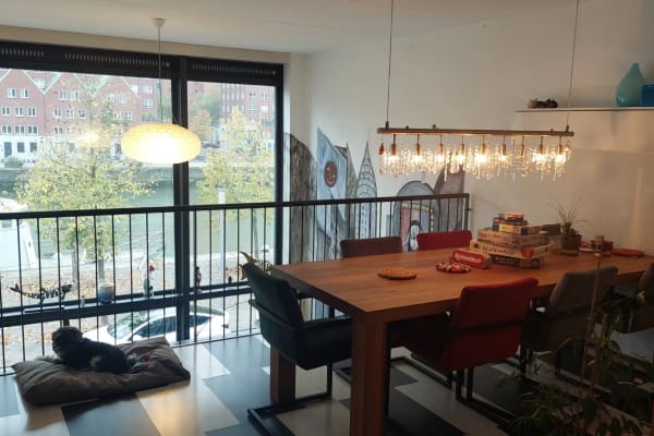 House sit in Rotterdam, Netherlands