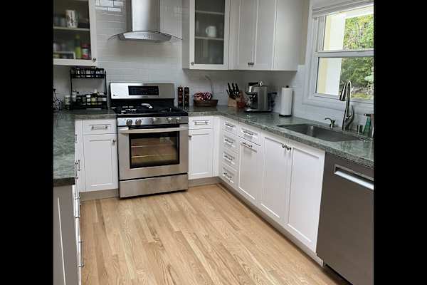 House sit in San Anselmo, CA, US