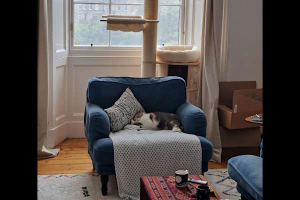 House sit in Edinburgh, United Kingdom