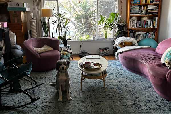 House sit in Culver City, CA, US