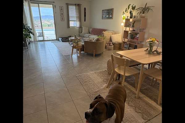 House sit in Oro Valley, AZ, US