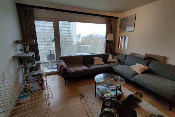 House sit in Evere, Belgium