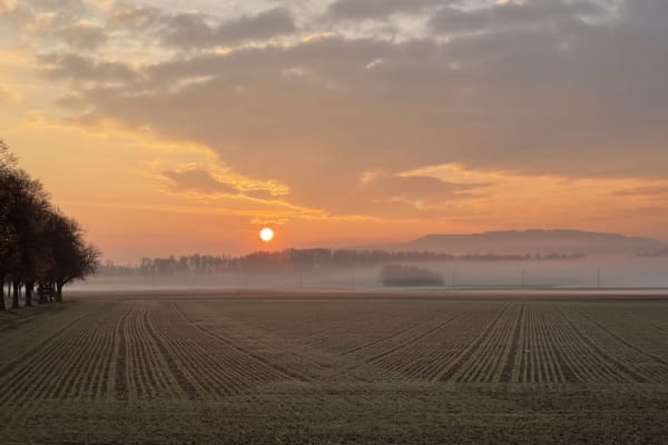 House sit in Gottmadingen, Germany