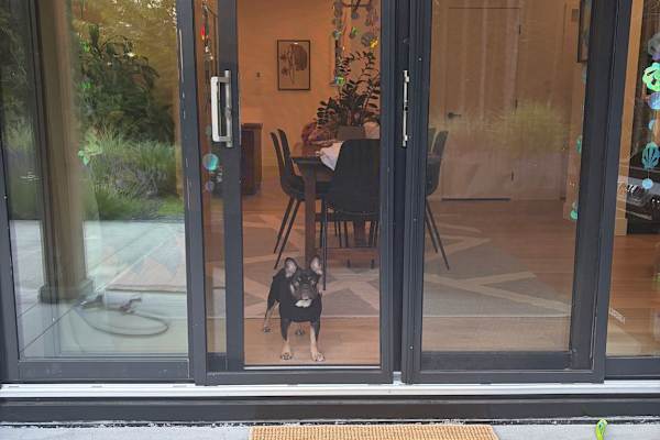 House sit in Bowen Island, BC, Canada