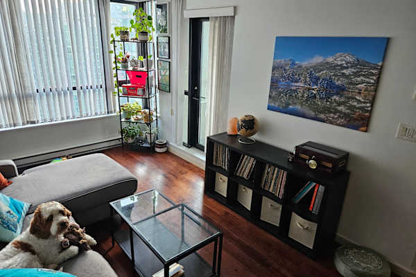 House sit in Vancouver, BC, Canada