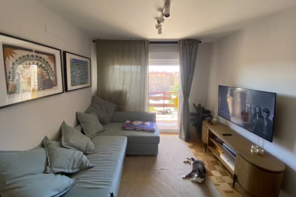House sit in Madrid, Spain