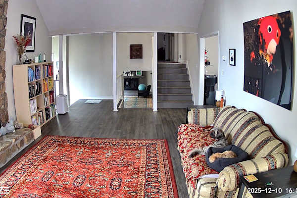 House sit in Stone Mountain, GA, US