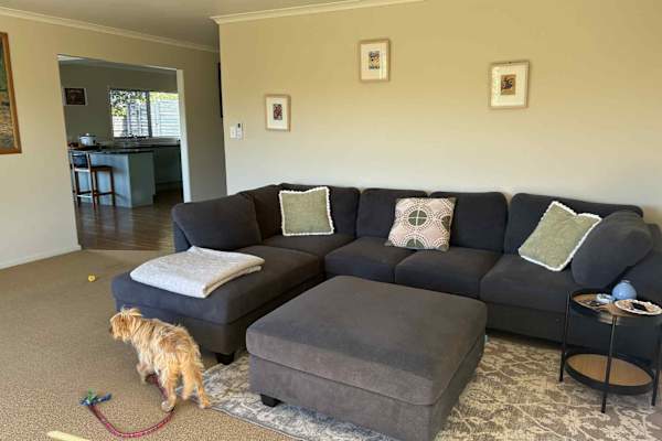 House sit in Tutukaka, New Zealand