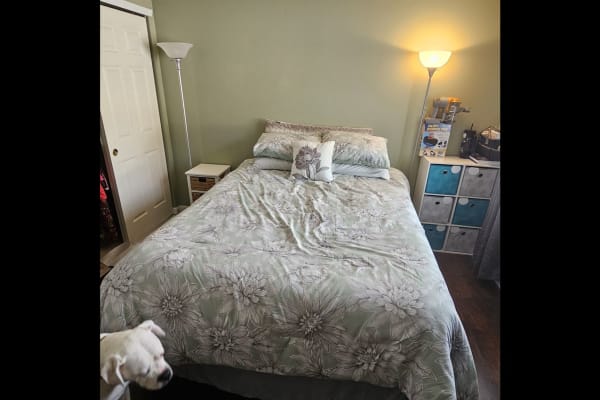 House sit in Indianapolis, IN, US