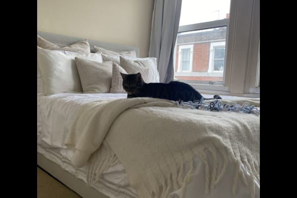 House sit in Waterloo, Belgium