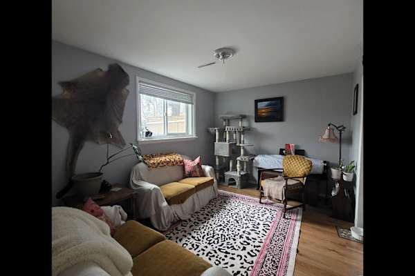 House sit in Calgary, AB, Canada