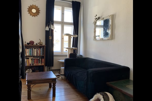 House sit in Berlin, Germany