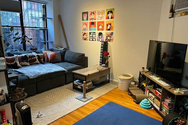 House sit in New York City, NY, US