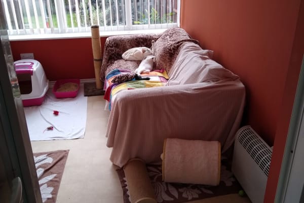 House sit in Burton upon Trent, United Kingdom