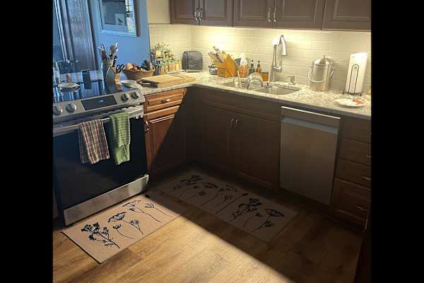 House sit in Buffalo, NY, US