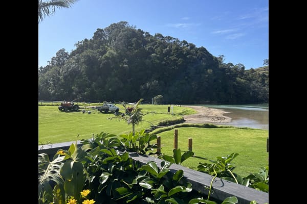 House sit in Whangarei, New Zealand