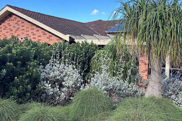 House sit in Central Coast, NSW, Australia