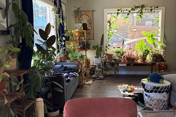 House sit in Bend, OR, US