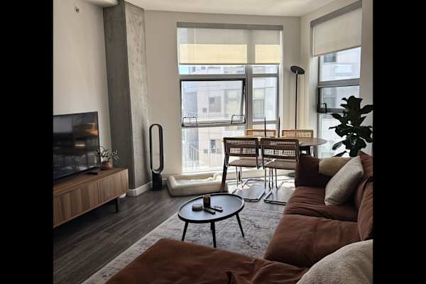 House sit in San Francisco, CA, US