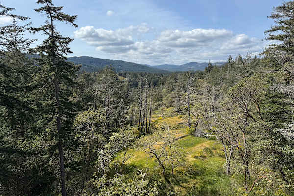 House sit in Metchosin, BC, Canada