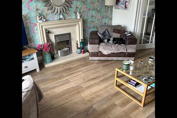 House sit in Birmingham, United Kingdom
