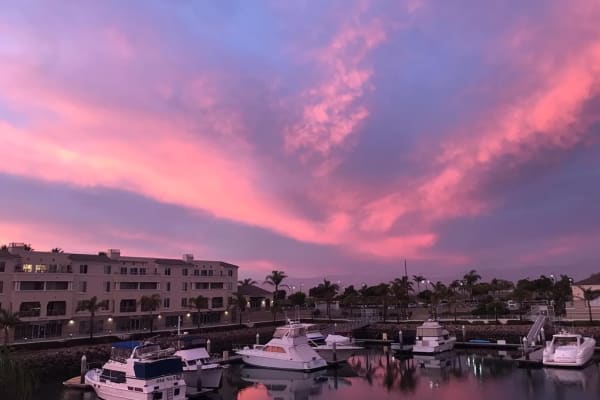 House sit in Oxnard, CA, US