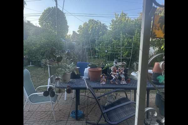 House sit in Culver City, CA, US